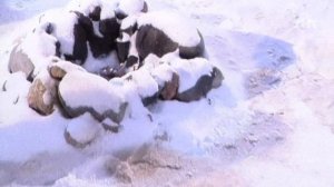 ДОМ-2 Город любви 1385 день Вечерний эфир (24.02.2008)