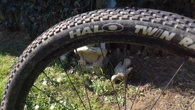 Specialized Crave 29er red смотреть онлайн