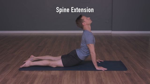 How To Smart Stretch - Preview of Full AIS Sequence смотреть онлайн