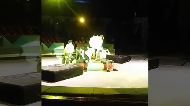 Цирк шарить в Автово Санкт Петербург смотреть онлайн