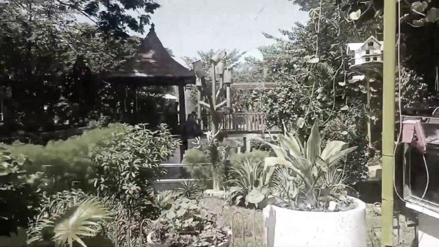 Najwa Asyilah Adiba Aida - SD Islam Tarbiyatul Ummah - PKK Kecamatan Buduran смотреть онлайн