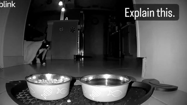 VID-20231211-WA0002.mp4 смотреть онлайн