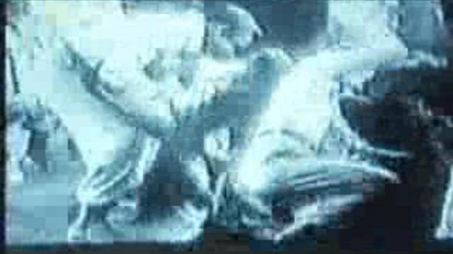 Страшный тарантул смотреть онлайн