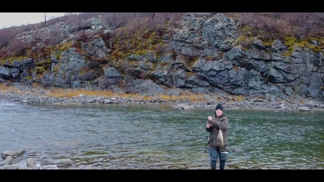 Полярный -Урал . Царская - рыба (Осень ЯМАЛ 2022 октябрь) смотреть онлайн