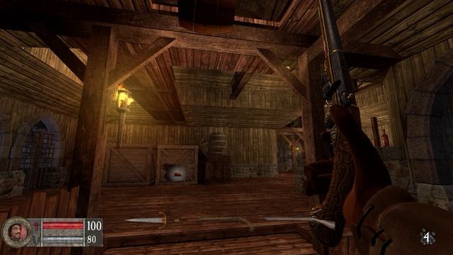 Pirates Vikings & Knights II Карта Tortuga Реликвия смотреть онлайн
