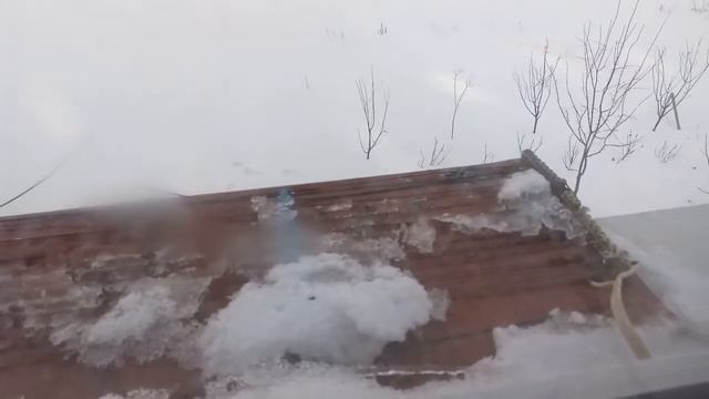 Отпугиватель "Электрошок" для голубей смотреть онлайн