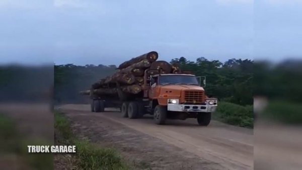 Heavy Timber Trucks Logging Legend Nissan TZA 520 DIESEL - Old Truck Since 1970s