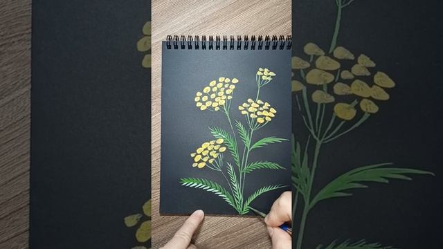 Пижма - рисунок гуашью на черной бумаге. смотреть онлайн