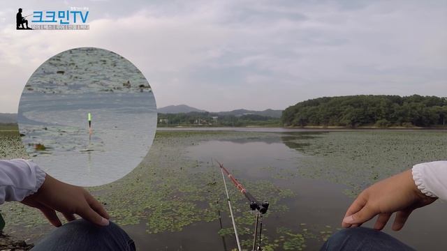 자연지 붕어낚시 찌올림 / 관성저수지 смотреть онлайн