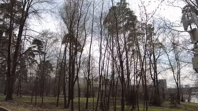 Гаишник остановил монахиню за рулем… Коллеги смеялись, но едва он заглянул в салон, все вздрогнули смотреть онлайн