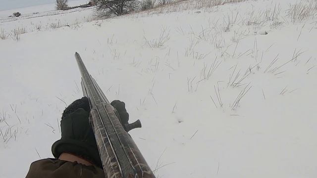 Охота на зайца 2022 Сезон закрыл Зайцев подкормил ! смотреть онлайн