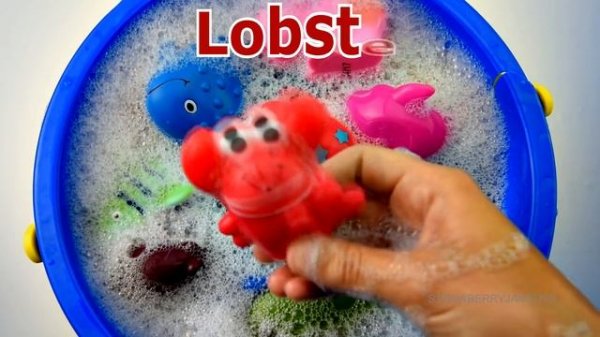 Learn Sea Animal and Wild Zoo Jungle Animals Names Education Video Animal Toys For Kids