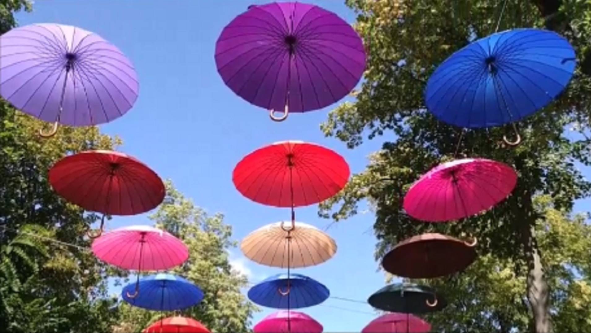 Лето цвета неба