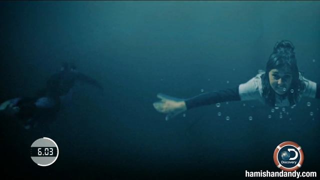 Michael Phelps VS Amy Shark смотреть онлайн