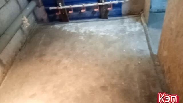Напольное содержание цыплят бройлера. смотреть онлайн