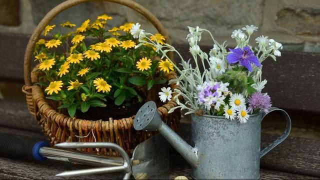 75 ИДЕЙ для ДАЧИ. Красивые идеи для дизайна вашего двора! Примеры, чтобы сделать ваш двор уютным! смотреть онлайн