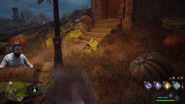 Hogwarts Legacy прохождение часть 7 смотреть онлайн