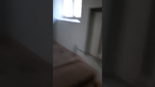 Сдаётся 3К квартира в Санкт-Петербурге на на Декабристов 14. Исторический центр. Сердце города. смотреть онлайн