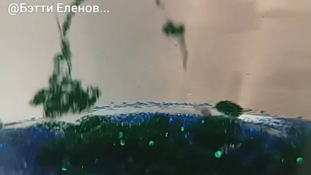 Необыкновенно и очень красиво, но совсем не понятно, что это... смотреть онлайн