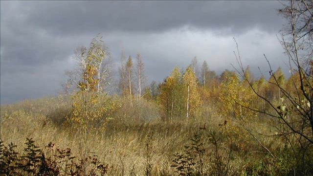 Иеромонах Роман. «Сон мне приснился...» смотреть онлайн