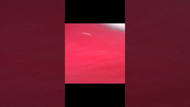 яя опоппллмлалала что со мной?