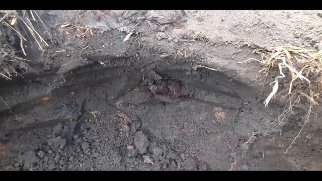 Раскопал фундамент до конца и обнаружил ЕГО!!!