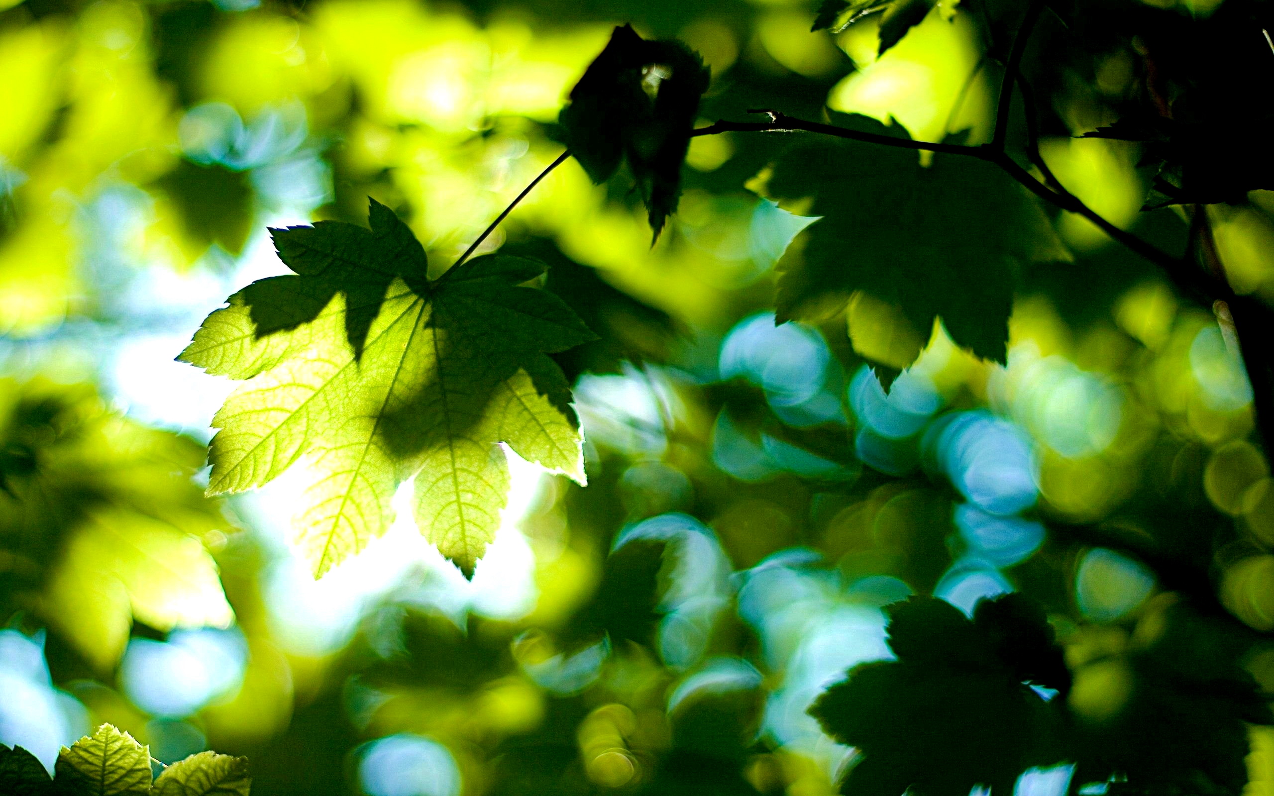 РазУмная соната