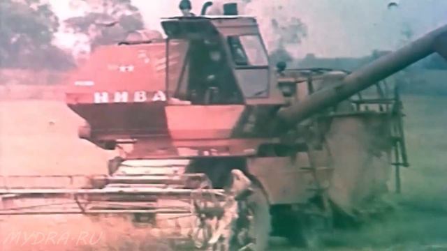 Наша судьба смотреть онлайн