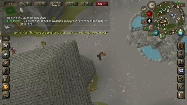 ТОП-5 классических MMORPG на Android и IOS (Ну, почти)