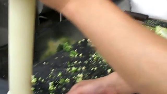 C52 meat mincer chopping the vegetable testing moive смотреть онлайн