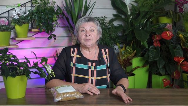 Сидерат Белый Клевер ✔️ Как Привлечь Шмелей в Сад и Огород смотреть онлайн