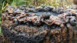 Вот Что Можно Сделать из Старой АВТОПОКРЫШКИ
