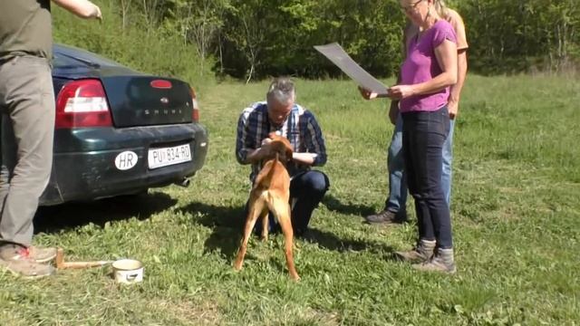 ЕДЕМ В ХОРВАТИЮ СОБИРАТЬ ТРЮФЕЛЬ. (Г.МОТОВУН) 2018 смотреть онлайн