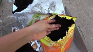 ГРУНТ  ДЛЯ ЛИМОНОВ И ВСЕХ ЦИТРУСОВЫХ...