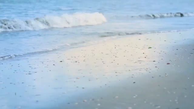 William Windom reads William Shakespeare Sonnet 60 смотреть онлайн