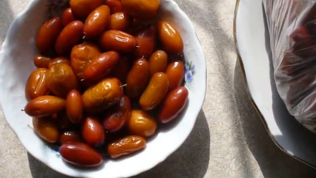 ЗИЗИФУС в Мариуполе. Ягоды КРУГЛЫЙ ГОД!!! смотреть онлайн