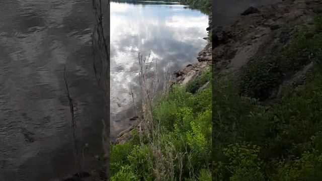 Европейская норка смотреть онлайн