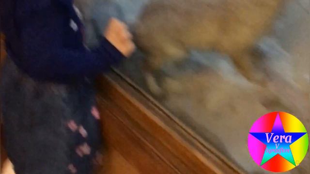 Верочка посетила Государственый биологический музей им.К.А. Тимирязева смотреть онлайн