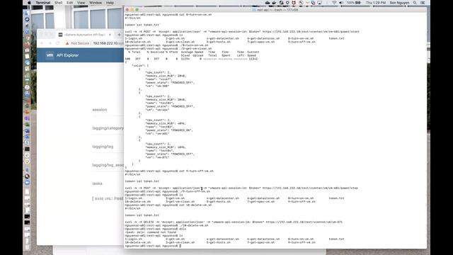 TAM Lab 039 - How to leverage the vSphere REST API смотреть онлайн