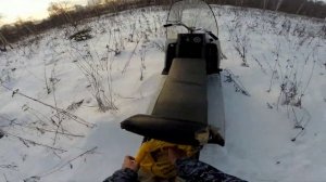 Охота на лис капканами с привадой.