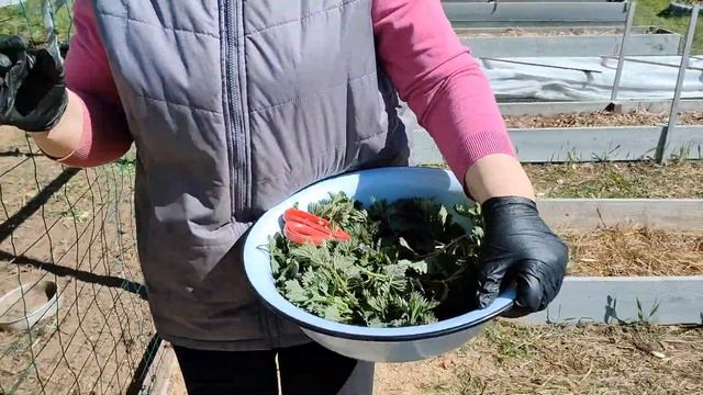 Работа, крапивный суп и встреча на хуторе.