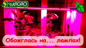 КРАСНЫМ СТЕРЖНЕМ. КАРЕЛЬСКИЕ ученые опровергли КАРЕЛИНУ ВИКТОРИЮ из Семян Алтая. Обожглась на лампах