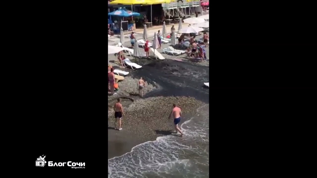 Приезжайте к нам в Сочи смотреть онлайн