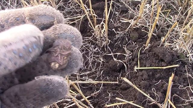Поиск монет с АКА Беркут-5. №46. Так себе коп. смотреть онлайн