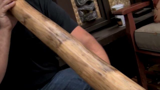 Agave Didgeridoo #BE229 by Brad Evans смотреть онлайн
