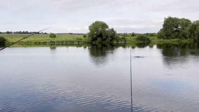 Спонтанная рыбалка на Пахре.Клюет разнорыбица! смотреть онлайн