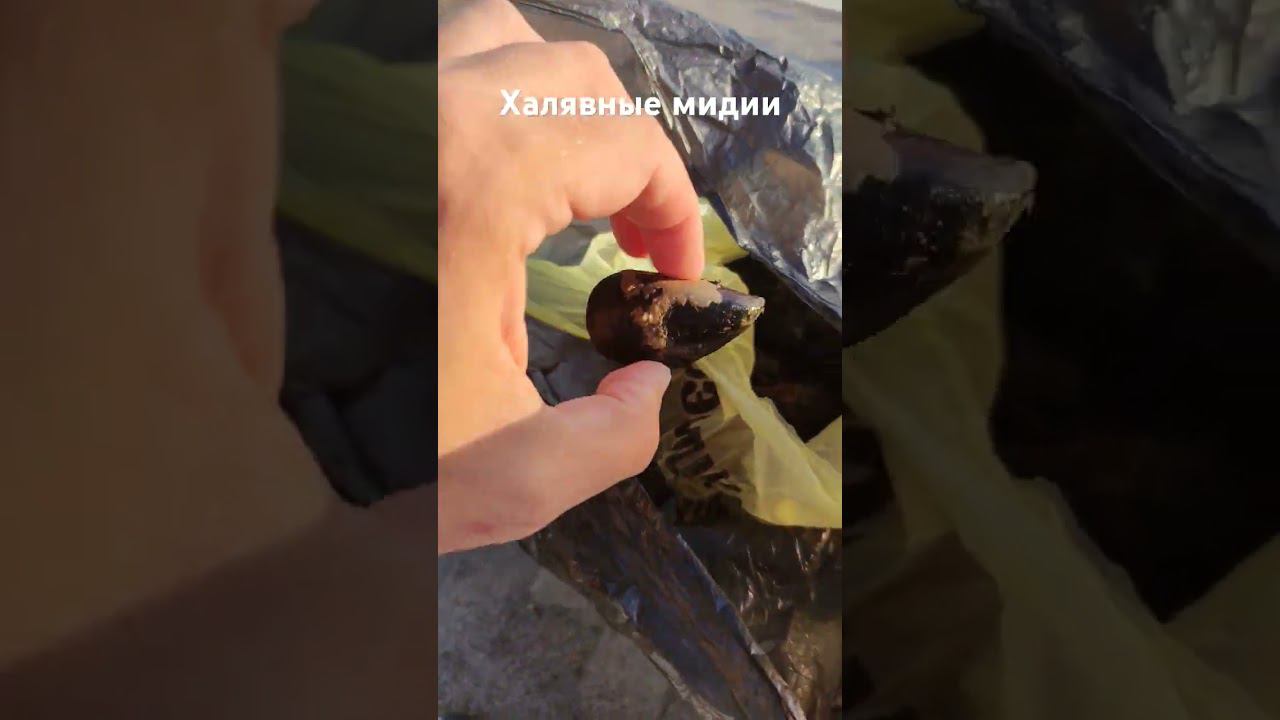 сочи новый улов смотреть онлайн