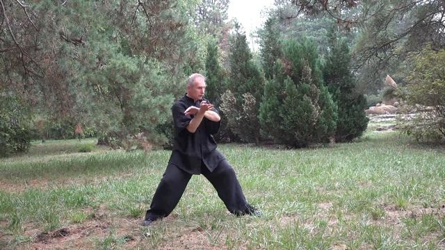 ДУХ ЛЕСА И ТАЙЦЗИ смотреть онлайн