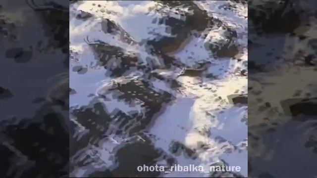 Охота и рыбалка в Новгородской области смотреть онлайн