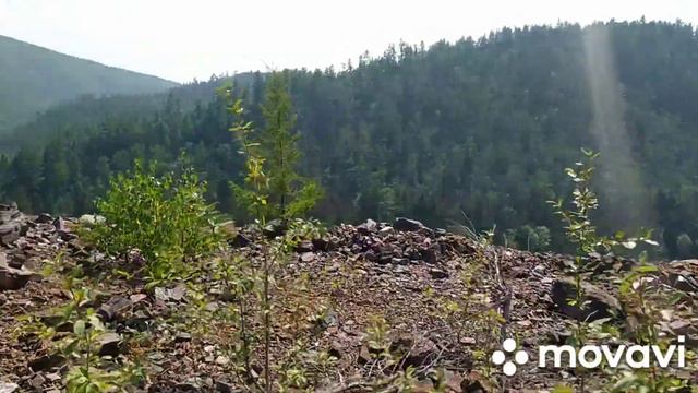 Дальний Восток. 22.07.2023г. смотреть онлайн